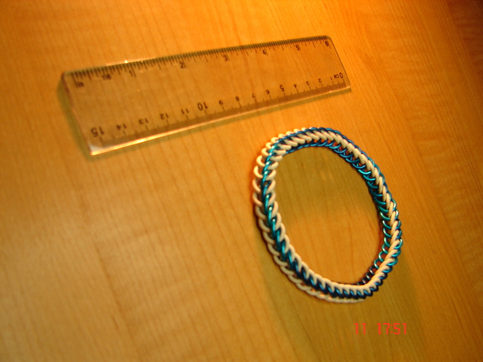 Steph's anklet on my desk with a ruler